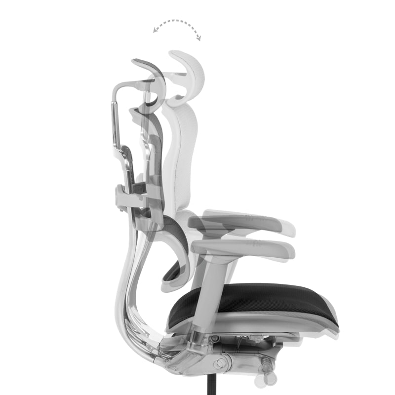 Ергономичен офис стол Ergohuman Elite 2 черен-сива рамка